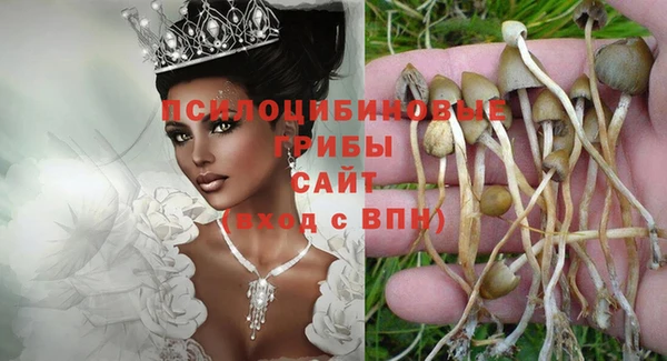 соль ск Алзамай
