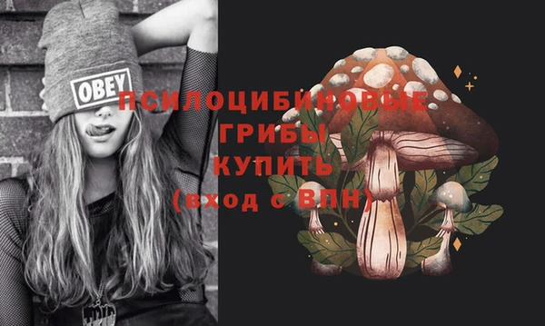 герыч Алексин