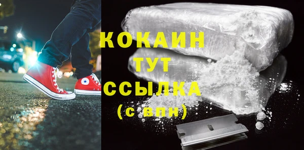 соль ск Алзамай
