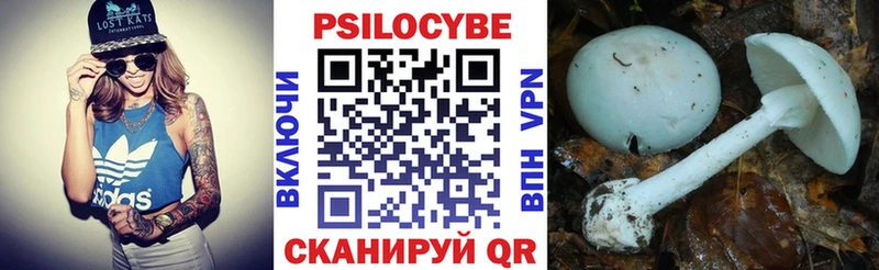 Псилоцибиновые грибы мицелий  Апшеронск 